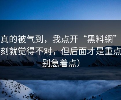 我真的被气到，我点开“黑料網”那一刻就觉得不对，但后面才是重点（别急着点）