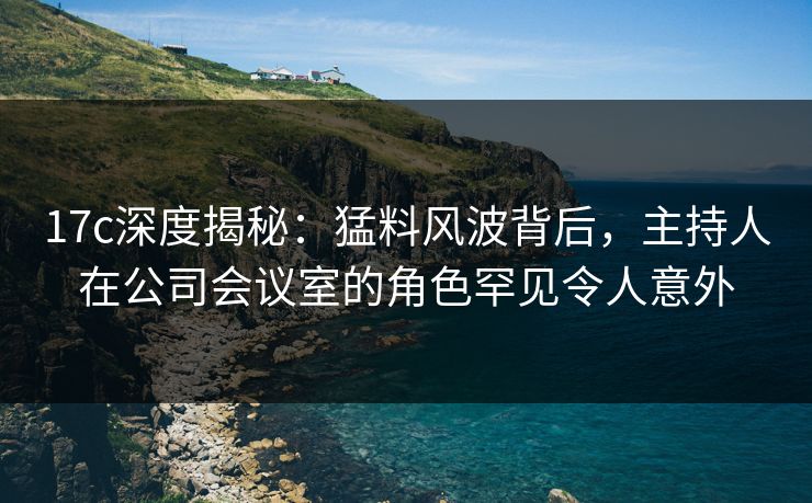 17c深度揭秘：猛料风波背后，主持人在公司会议室的角色罕见令人意外