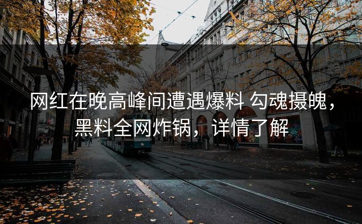 网红在晚高峰间遭遇爆料 勾魂摄魄，黑料全网炸锅，详情了解