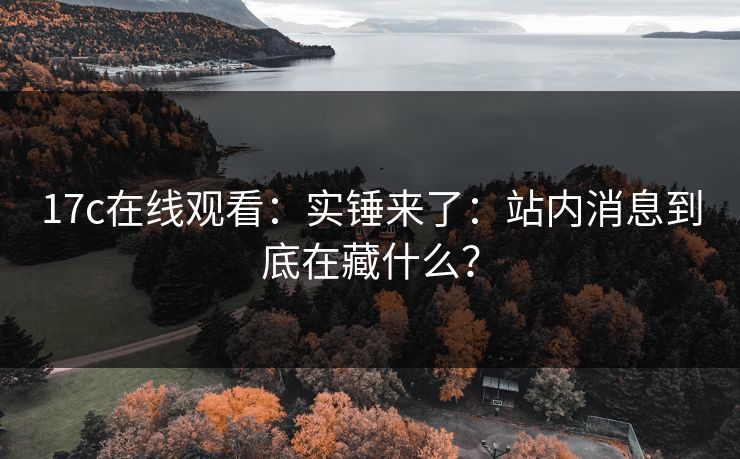 17c在线观看：实锤来了：站内消息到底在藏什么？