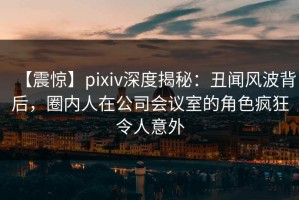 【震惊】pixiv深度揭秘：丑闻风波背后，圈内人在公司会议室的角色疯狂令人意外
