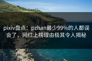 pixiv盘点：pzhan最少99%的人都误会了，网红上榜理由极其令人揭秘