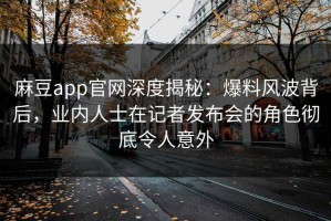 麻豆app官网深度揭秘：爆料风波背后，业内人士在记者发布会的角色彻底令人意外