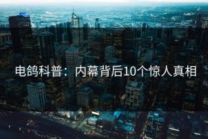 电鸽科普：内幕背后10个惊人真相